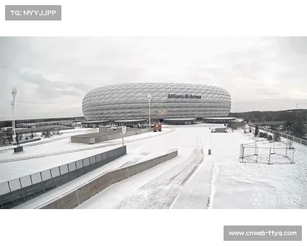 暴风雪“埃莉”袭德国北部,多场德甲因场地积雪延期 暴风雪“埃莉”袭德国北部,多场德甲因场地积雪延期